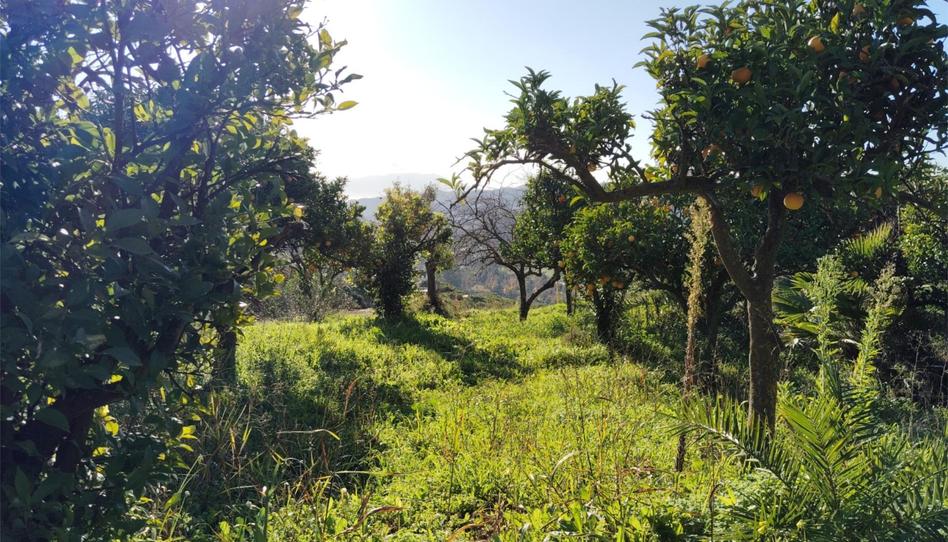 Finca rústica en venda a Carretera Comarcal 441, 1, Carratraca, Málaga - imatge 1 Foto 1 de Finca rústica en venda a Carretera Comarcal 441, 1, Carratraca, Málaga