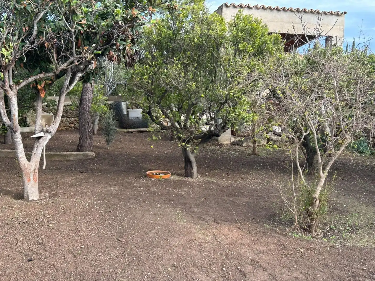 Casa o chalet en venta en Campanet con Piscina