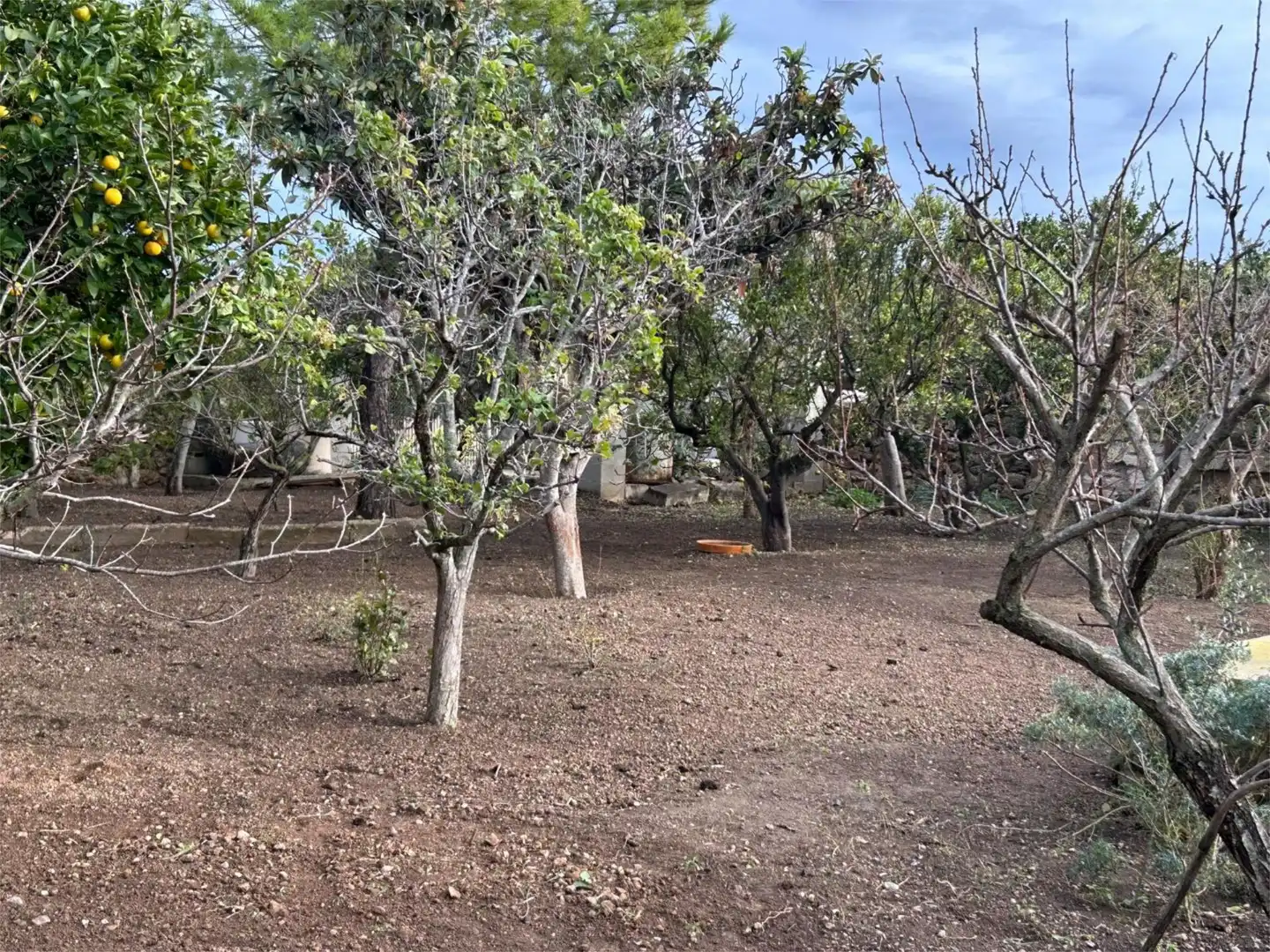 Casa o chalet en venta en Campanet con Piscina