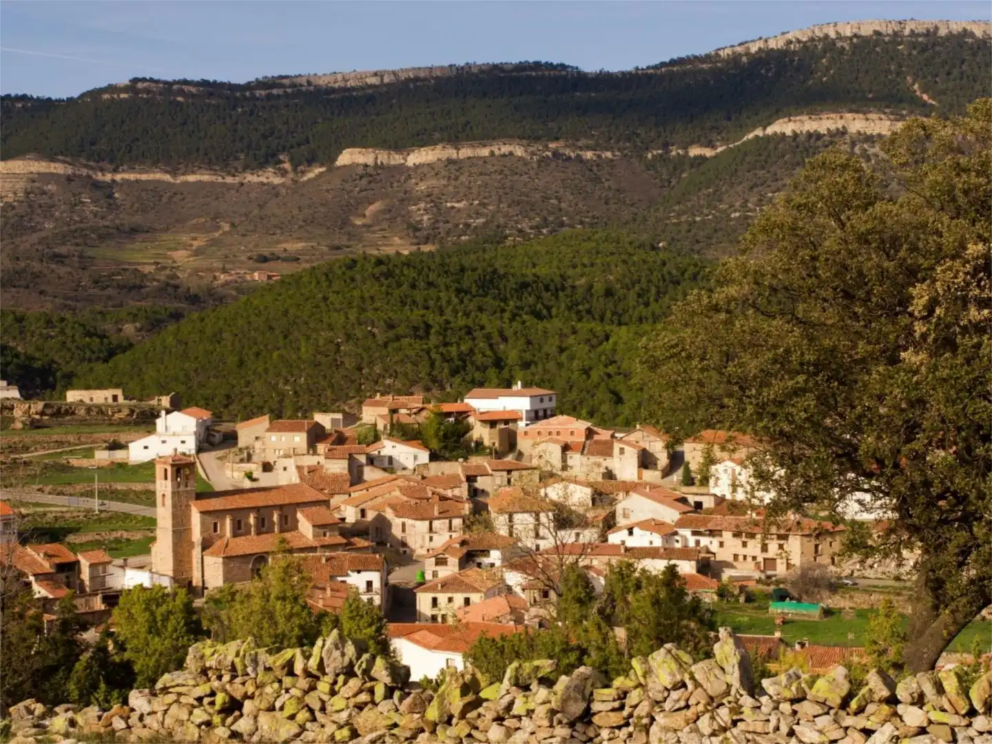 Ground floor for sale in Calle Barrio Nuevo, 11, El Castellar Exterior view of Ground floor for sale in El Castellar with Private garden