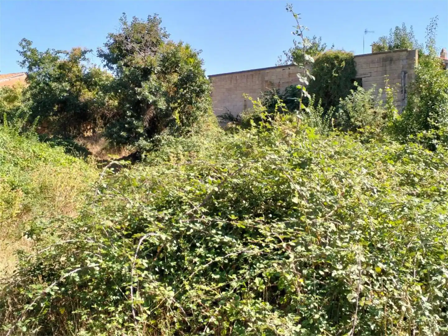Terreno en venta en Ayoó de Vidriales