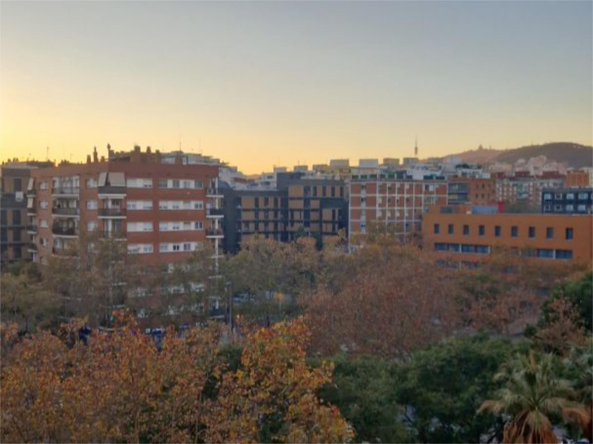 Flat to rent in Carrer de Bac de Roda, 182, Sant Martí de Provençals