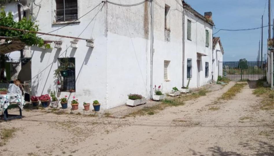 Flat for sale in Polígono Pu 2 Ramplón, 59b, Patrocinio - Nueva Talavera, Toledo - image 1 Photo 1 of Flat for sale in Polígono Pu 2 Ramplón, 59b, Patrocinio - Nueva Talavera, Toledo