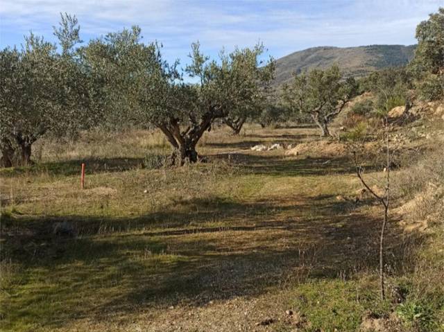 Terreno en Venta en Camino del Matadero Nuevo, 20 en Cebreros