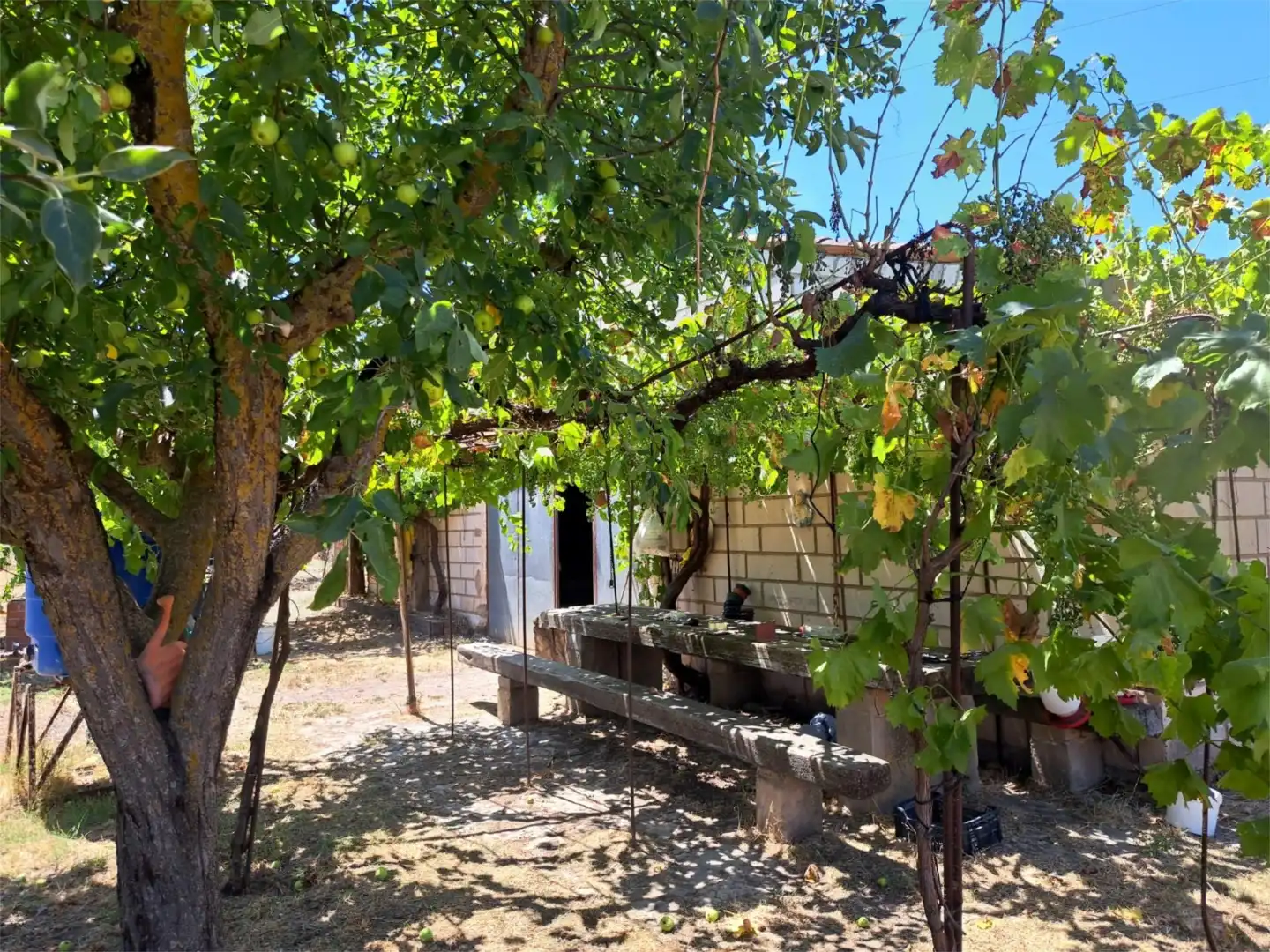 Jardí de Traster en venda en Sigüenza