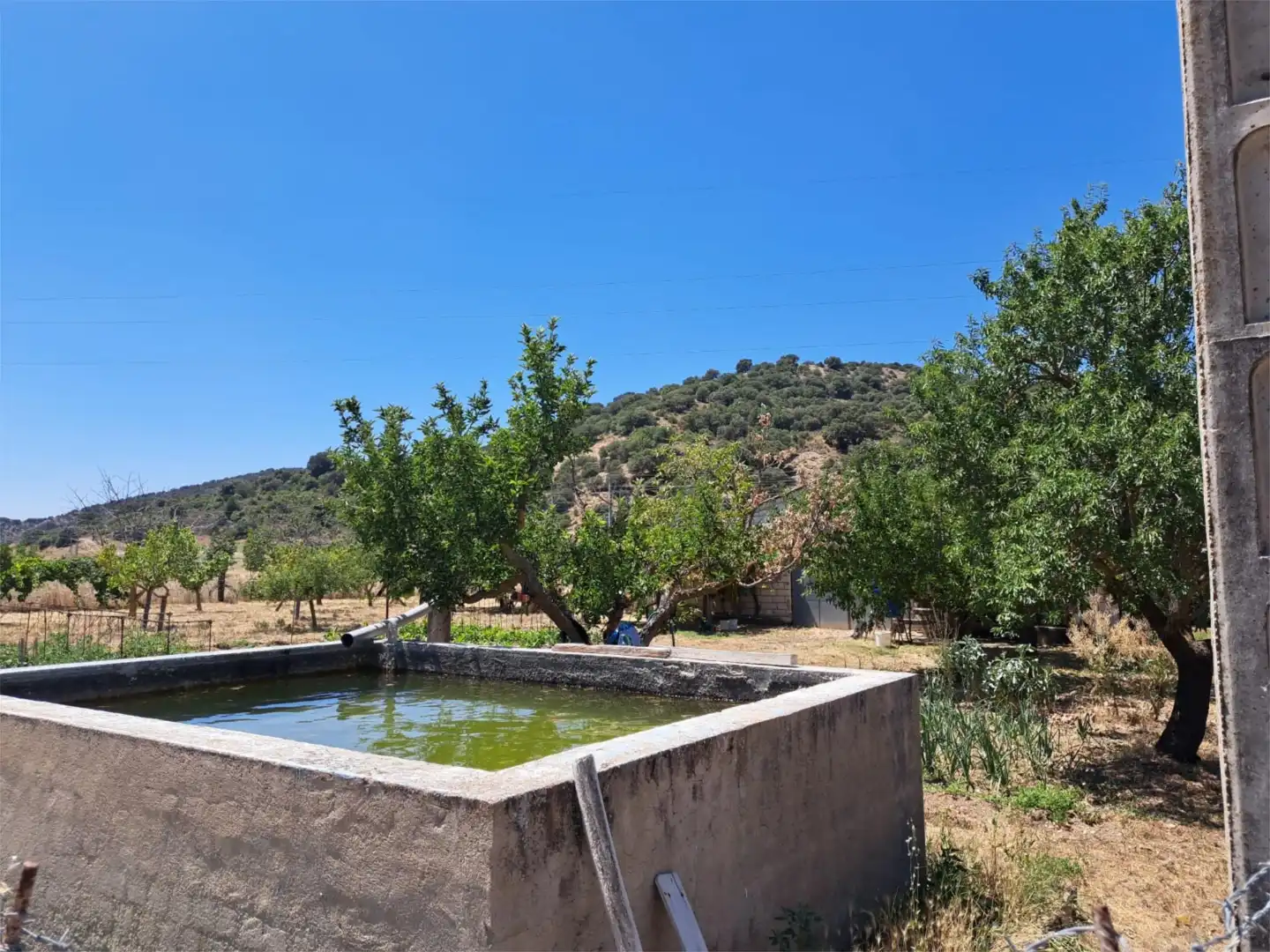 Jardí de Traster en venda en Sigüenza