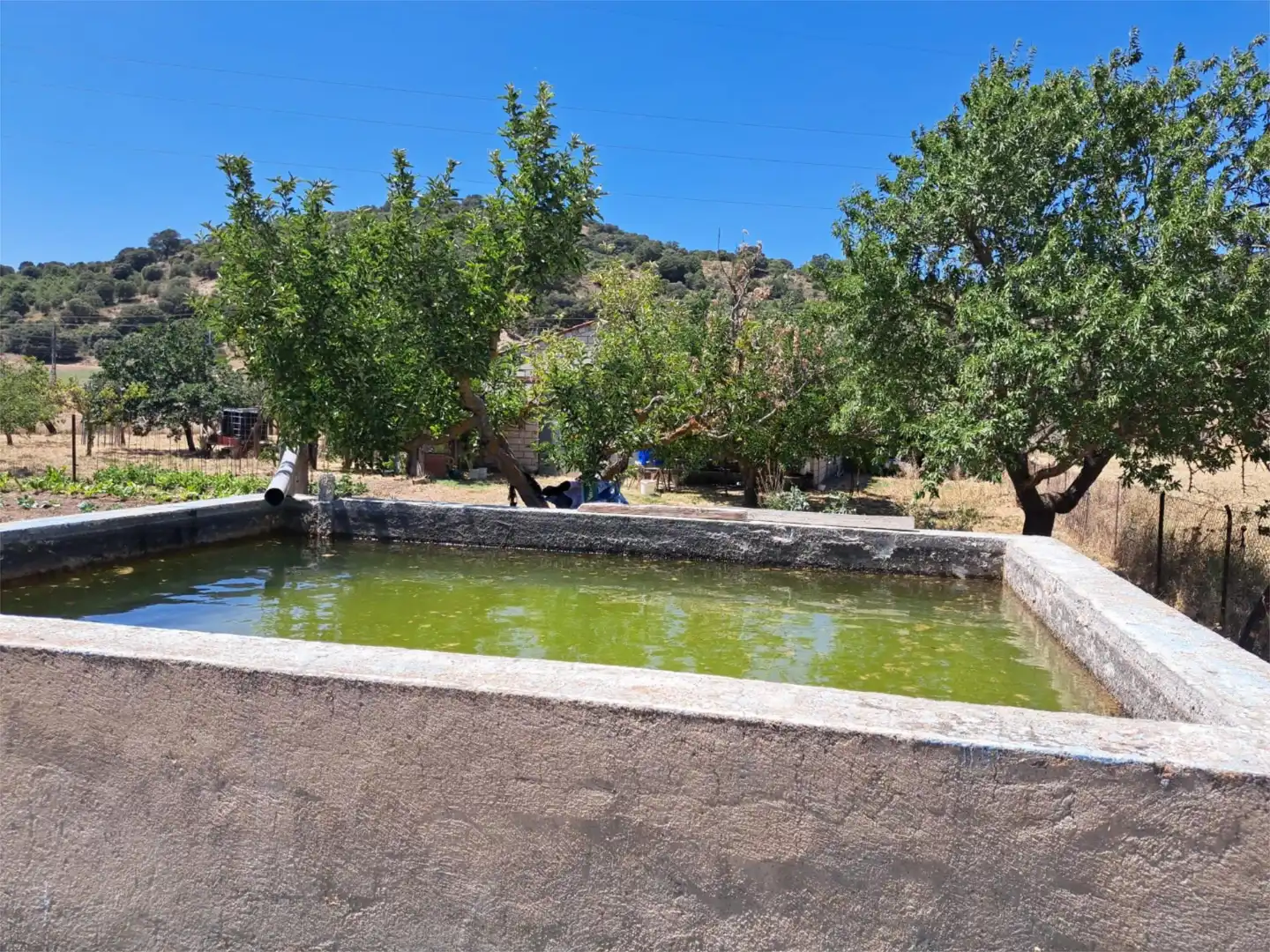 Piscina de Traster en venda en Sigüenza