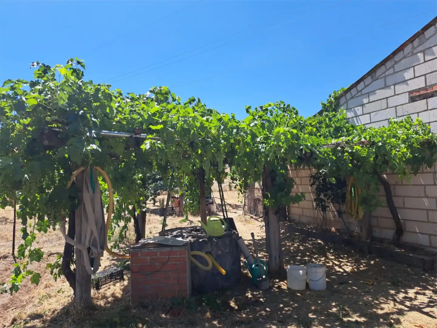 Jardí de Traster en venda en Sigüenza