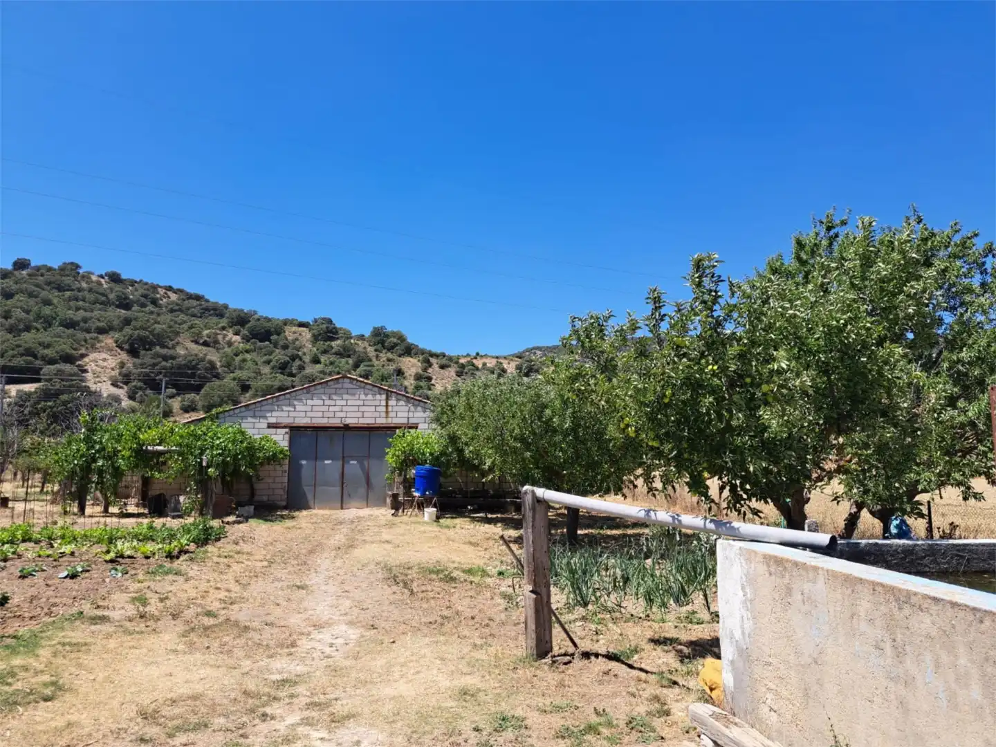 Jardí de Traster en venda en Sigüenza