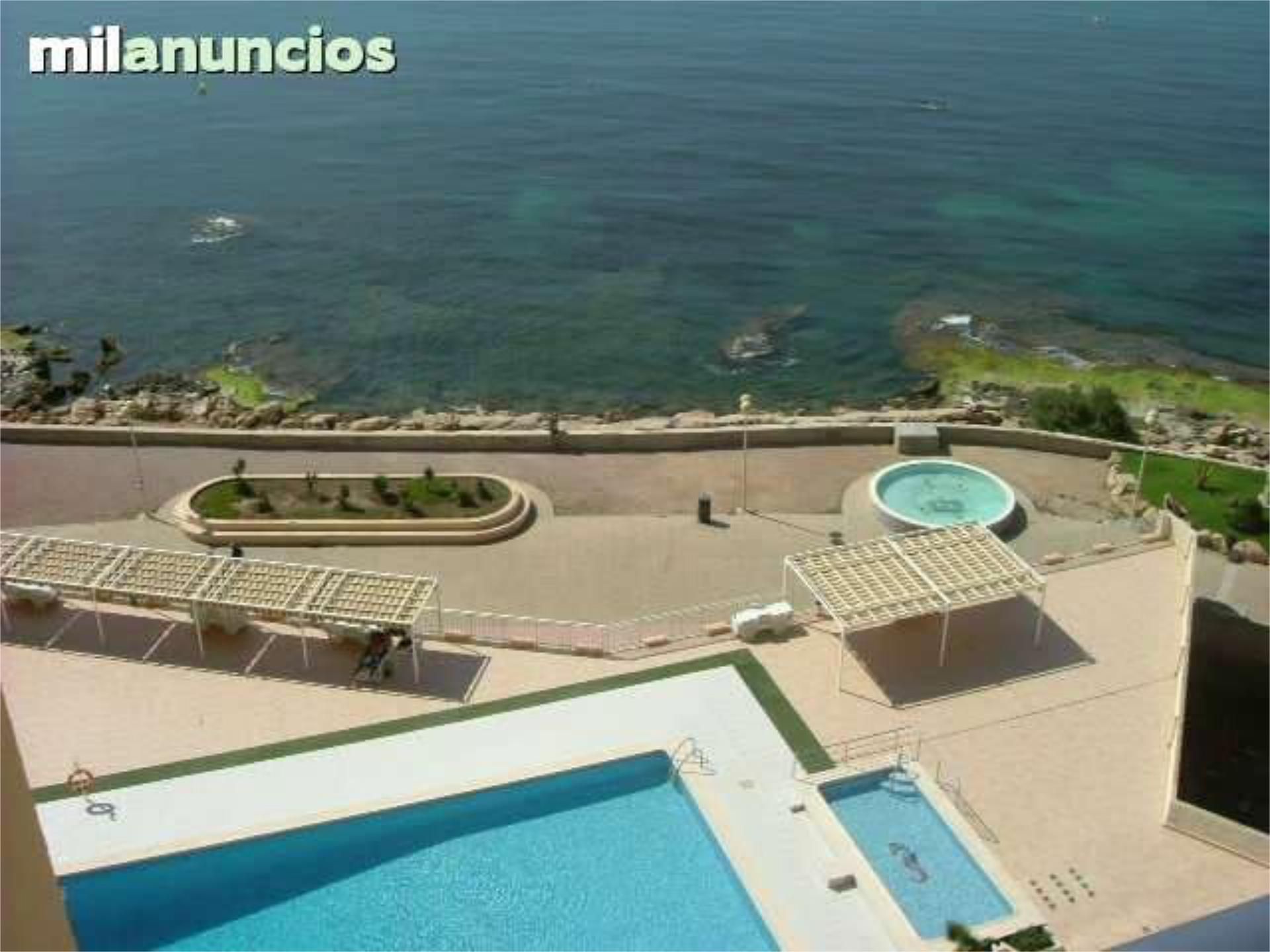 Swimming pool of Apartment to rent in Torrevieja  with Heating, Terrace and Swimming Pool