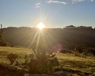 Jardí de Casa o xalet en venda en Pravia amb Terrassa