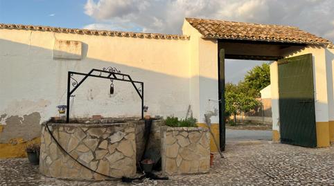 Foto 4 de Finca rústica en venta en Calle San Ricardo, 17, Bobadilla - Bobadilla Estación - La Joya, Málaga