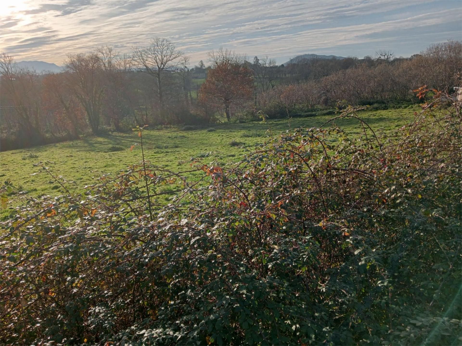 Finca rústica en venda en Siero