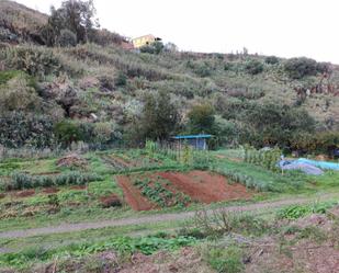 Garden of Non-constructible Land for sale in Vega de San Mateo