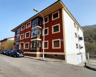 Exterior view of Flat for sale in Degaña
