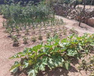 Jardí de Casa adosada en venda en Olivella