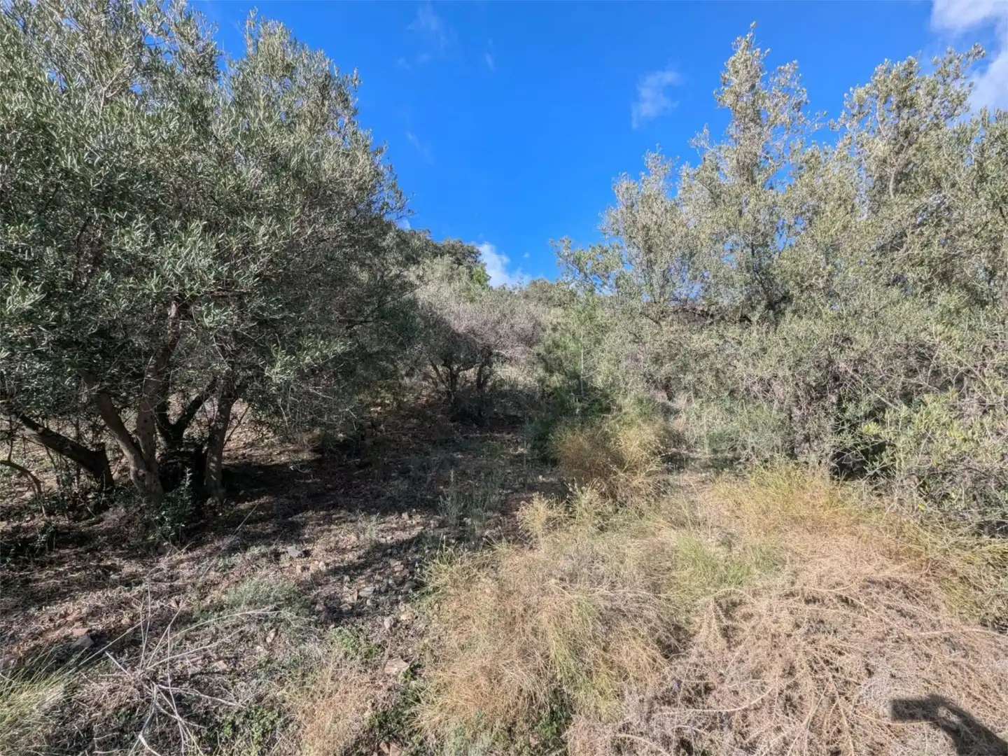 Finca rústica en venta en Diseminado el Cerval Pol 15, 3c, El Rescate - Río Seco Finca rústica en venta en Almuñécar