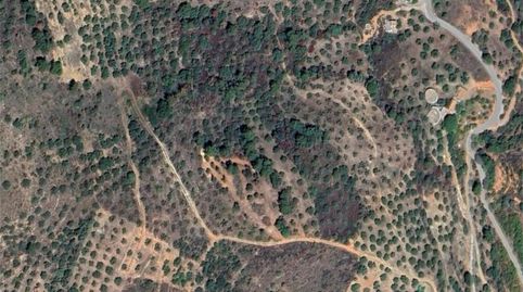 Finca rústica en venta en Diseminado el Cerval Pol 15, 3c, El Rescate - Río Seco, Almuñécar - imagen 3 Foto 3 de Finca rústica en venta en Diseminado el Cerval Pol 15, 3c, El Rescate - Río Seco, Almuñécar
