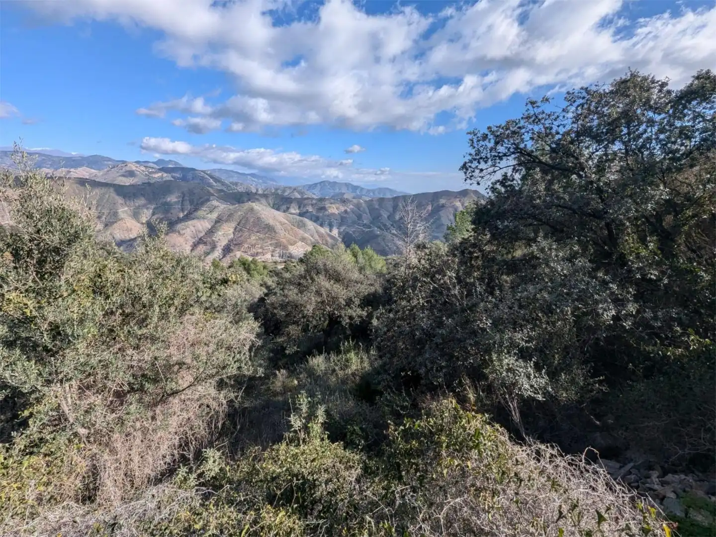 Finca rústica en venta en Diseminado el Cerval Pol 15, 3c, El Rescate - Río Seco Vista exterior de Finca rústica en venta en Almuñécar