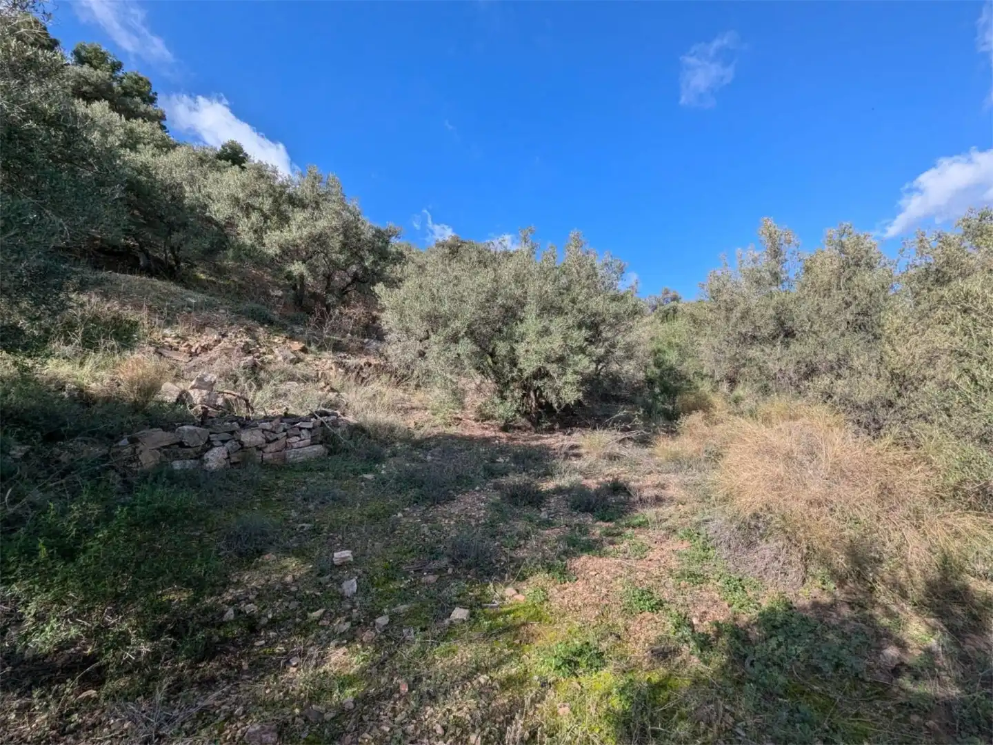 Finca rústica en venta en Diseminado el Cerval Pol 15, 3c, El Rescate - Río Seco Finca rústica en venta en Almuñécar