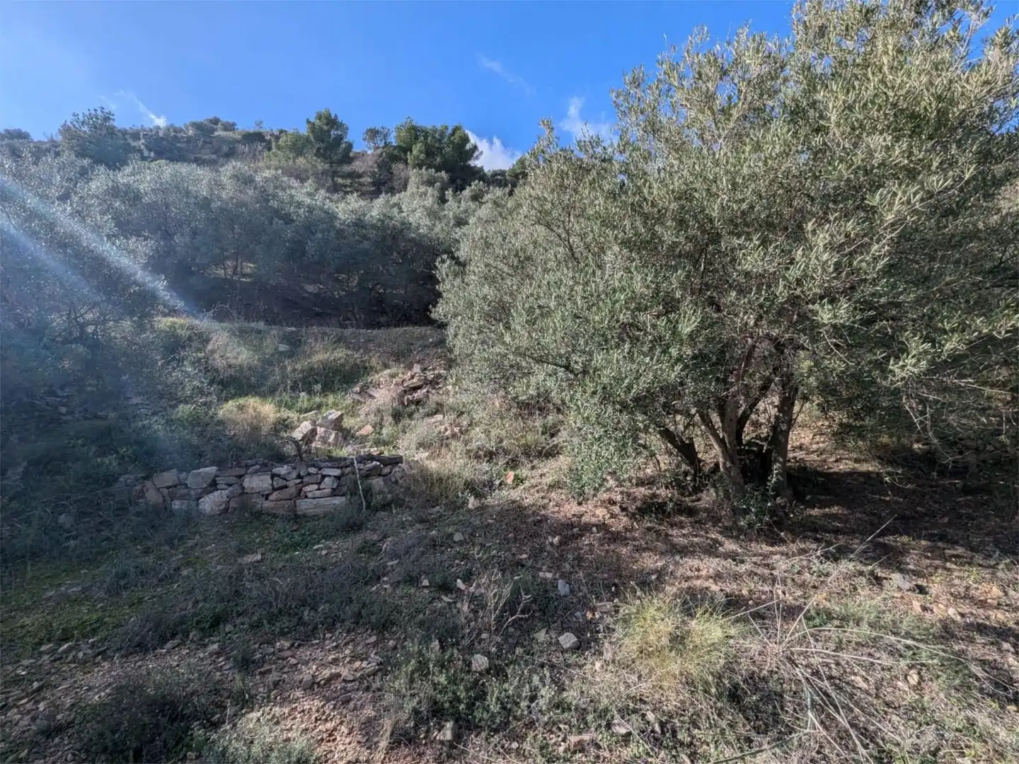 Finca rústica en venta en Diseminado el Cerval Pol 15, 3c, El Rescate - Río Seco Finca rústica en venta en Almuñécar