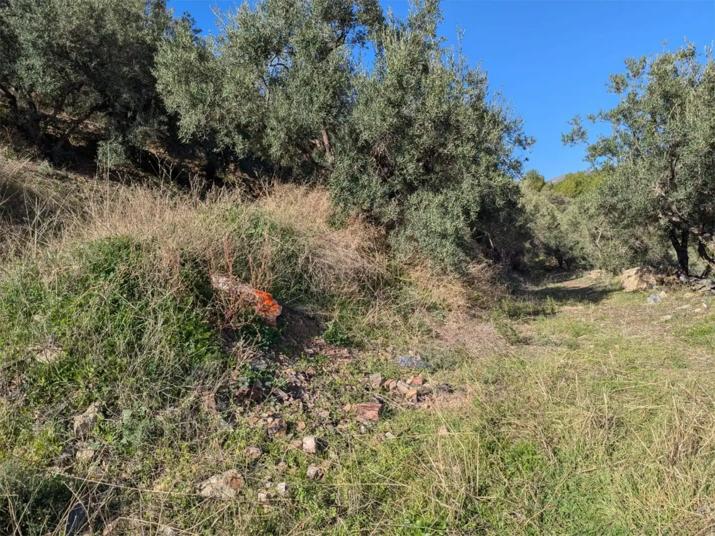 Finca rústica en venta en Diseminado el Cerval Pol 15, 3c, El Rescate - Río Seco Finca rústica en venta en Almuñécar