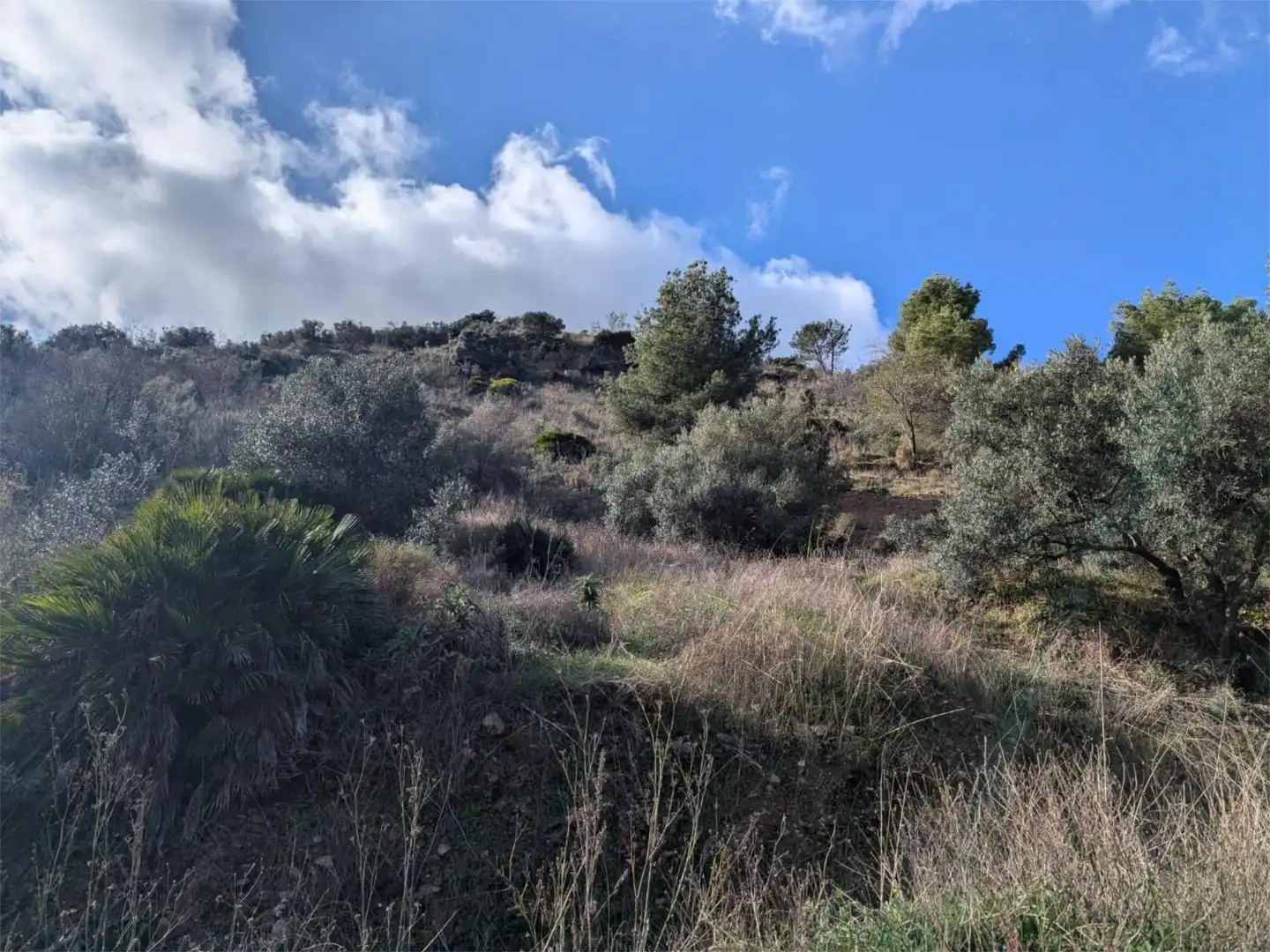 Finca rústica en venta en Diseminado el Cerval Pol 15, 3c, El Rescate - Río Seco Finca rústica en venta en Almuñécar