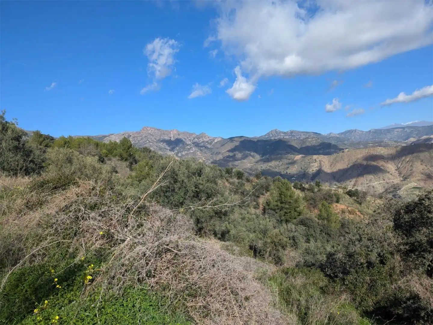 Finca rústica en venta en Diseminado el Cerval Pol 15, 3c, El Rescate - Río Seco Vista exterior de Finca rústica en venta en Almuñécar