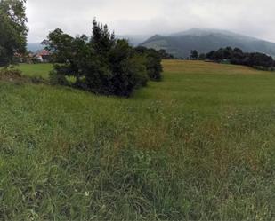 Non-constructible Land for sale in Santiurde de Toranzo