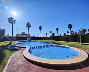 Swimming pool of Planta baja to rent in Torrevieja  with Terrace and Balcony