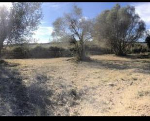 Land for sale in Dénia