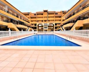 Swimming pool of Duplex for sale in Torrevieja  with Terrace, Swimming Pool and Furnished