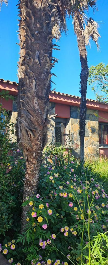 Vista exterior de Casa o xalet en venda en Vilallonga del Camp amb Terrassa