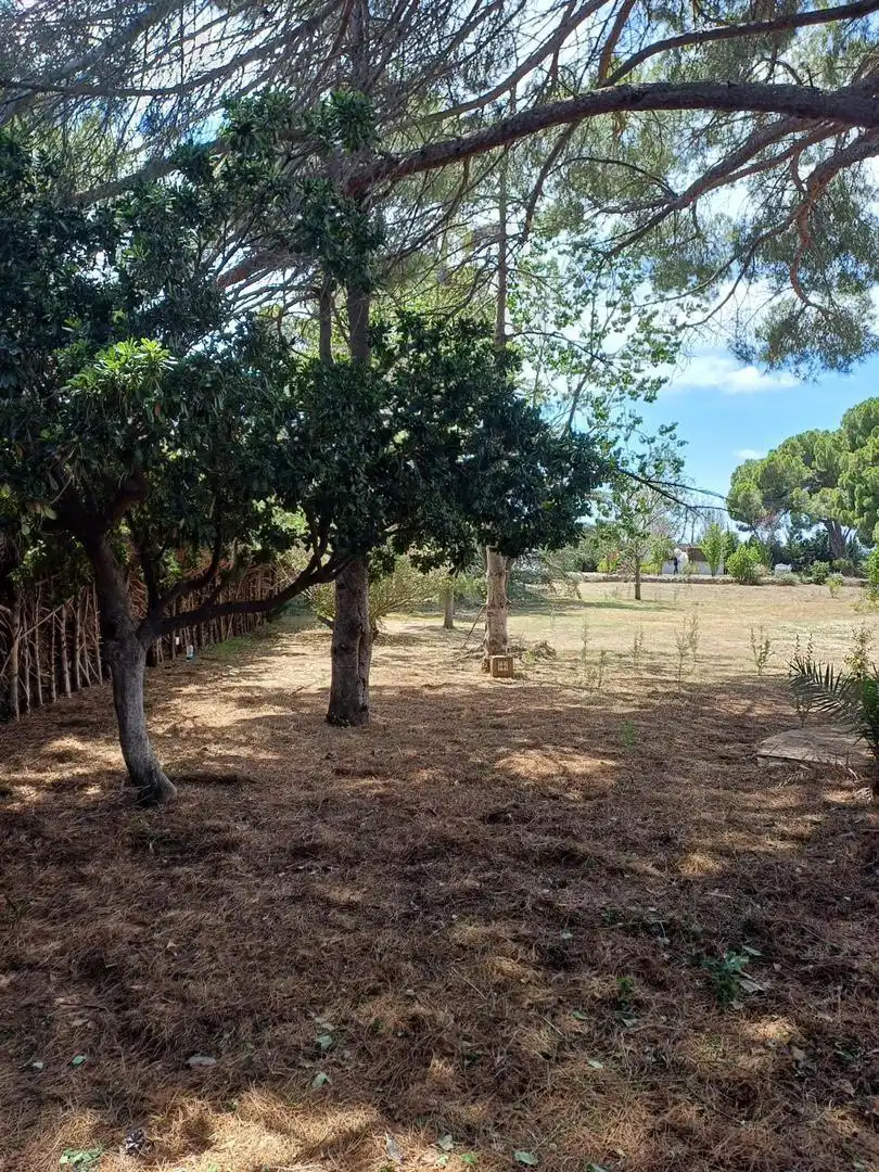 Houses for sale in Avinguda de Catalunya, 30, Vilallonga del Camp Houses for sale in Vilallonga del Camp with Terrace
