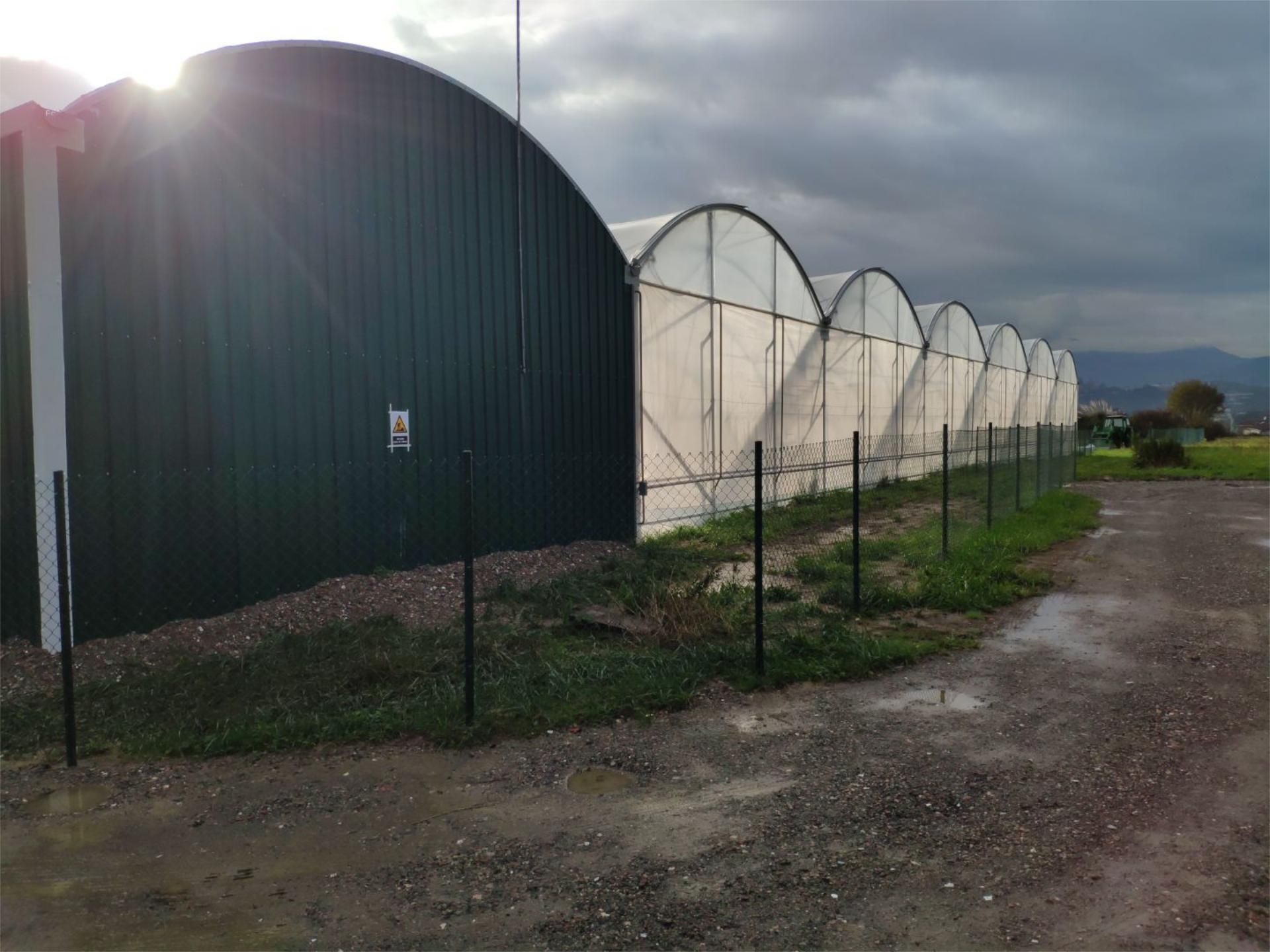 Exterior view of Land for sale in Erandio