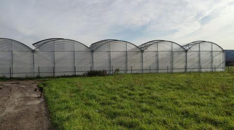 Foto 2 de Terreno en venta en Akarlanda Errepidea, 2b, Erandio, Bizkaia