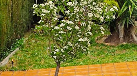 Foto 5 de Casa o xalet en venda a Calle Condado de Huelva, 18, Villa de Otura, Granada