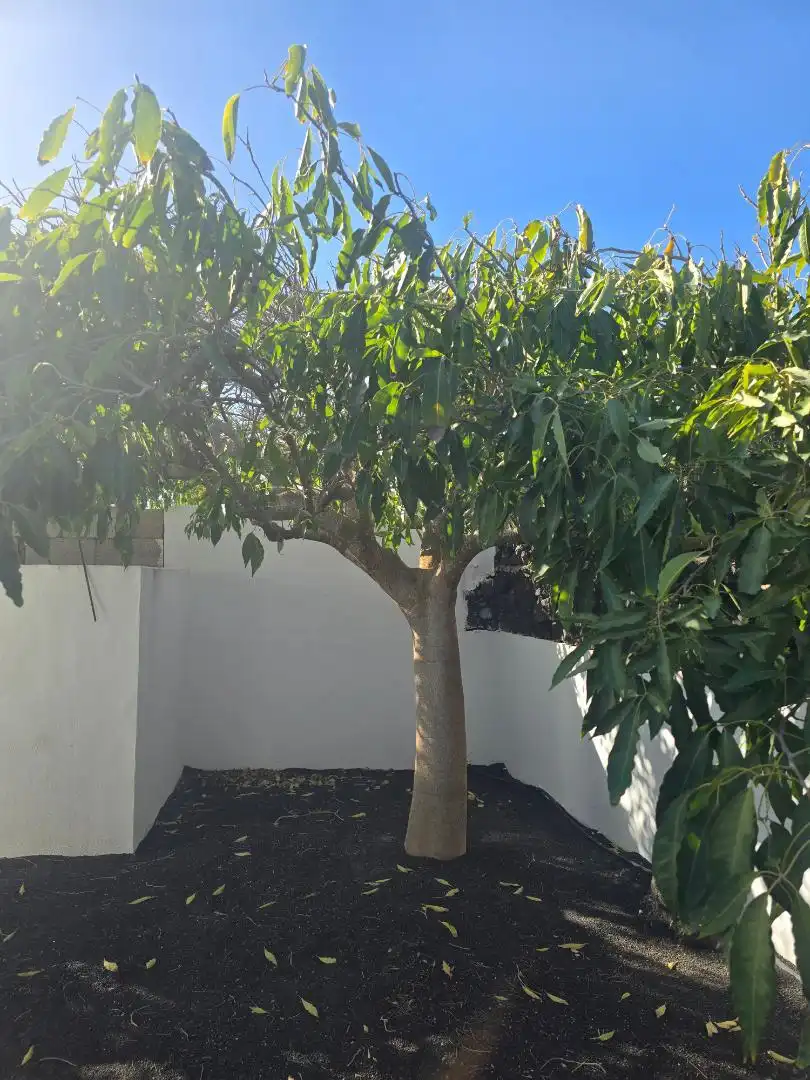 Garden of Houses for sale in Tías  with Air Conditioner, Heating and Private garden