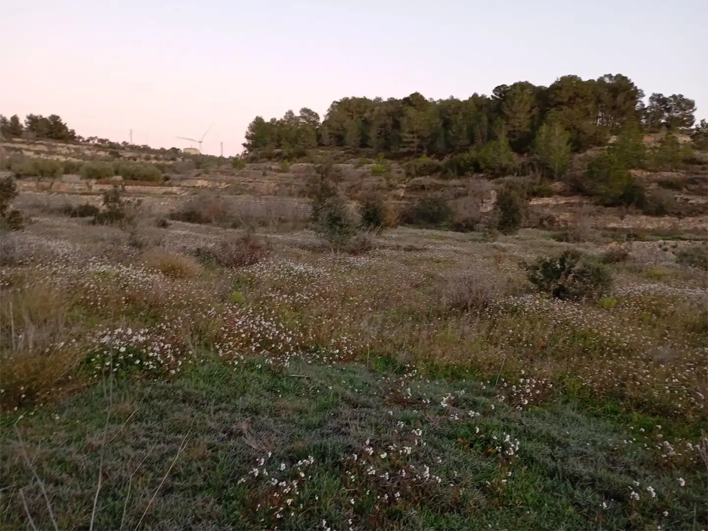 No Urbanitzable en venda a Carretera de Camposines, 9, La Fatarella No Urbanitzable en venda en La Fatarella
