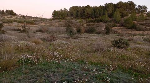 No Urbanizable en venta en Carretera de Camposines, 9, La Fatarella, Tarragona - imagen 3 Foto 3 de No Urbanizable en venta en Carretera de Camposines, 9, La Fatarella, Tarragona