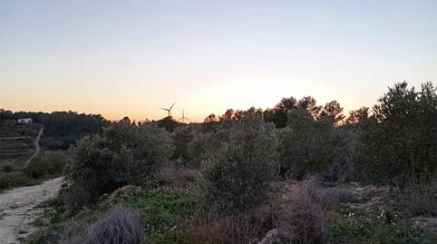 No Urbanizable en venta en Carretera de Camposines, 9, La Fatarella, Tarragona - imagen 4 Foto 4 de No Urbanizable en venta en Carretera de Camposines, 9, La Fatarella, Tarragona
