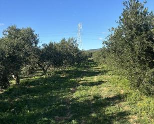 Finca rústica en venda en Botarell