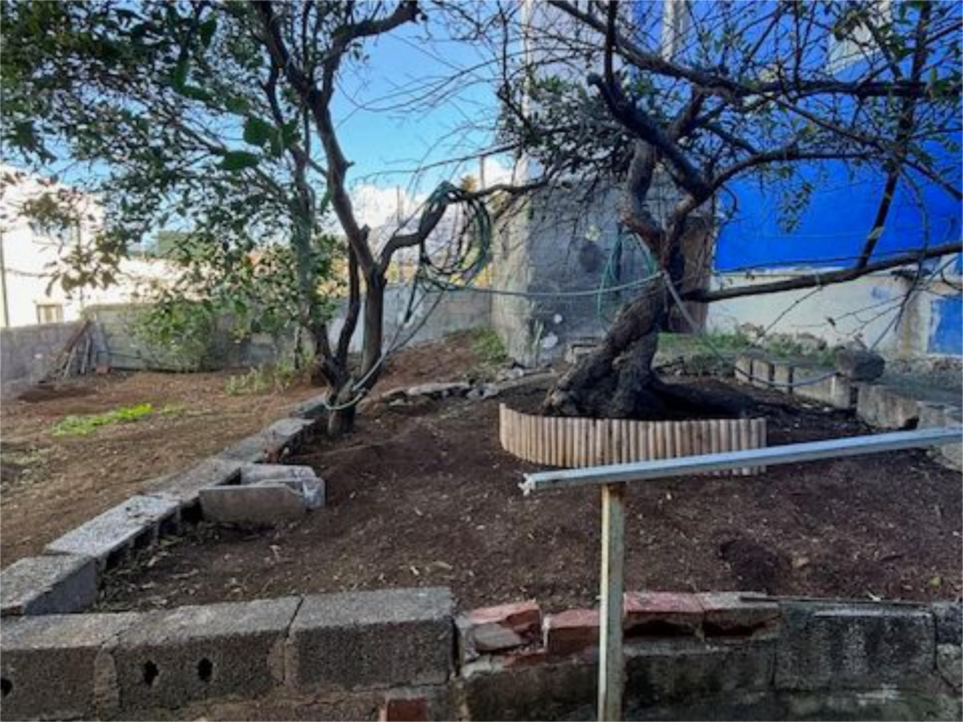 Jardí de Casa adosada en venda en Santa Úrsula amb Jardí privat, Traster i Moblat