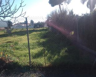 Land for sale in Marchena