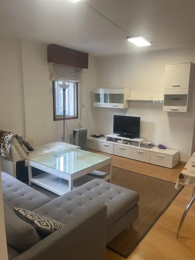 Piso de alquiler en Avenida Das Camelias, 115, Praza Independencia Sala de estar de Piso de alquiler en Vigo