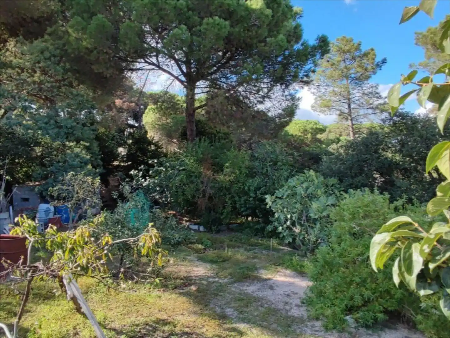 Casa o chalet en venta en Carrer Olot, 359, Niàgara Parc - Ágora Parc Jardín de Casa o chalet en venta en Tordera con Amueblado