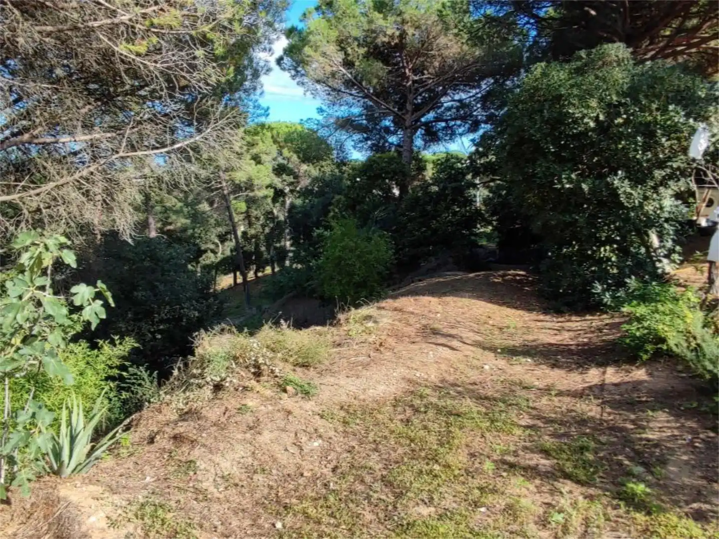 Casa o chalet en venta en Carrer Olot, 359, Niàgara Parc - Ágora Parc Casa o chalet en venta en Tordera con Amueblado