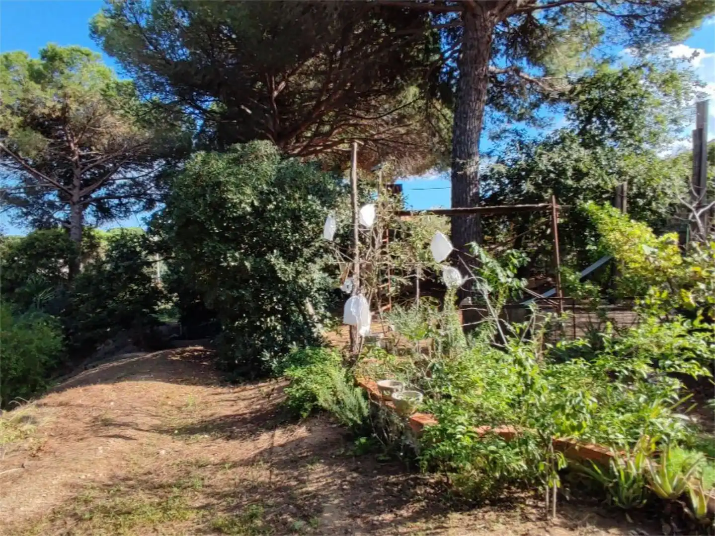 Casa o chalet en venta en Carrer Olot, 359, Niàgara Parc - Ágora Parc Jardín de Casa o chalet en venta en Tordera con Amueblado