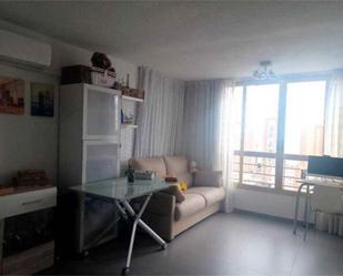 Living room of Study for sale in Benidorm