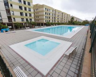 Piscina de Pis de lloguer en Las Palmas de Gran Canaria amb Terrassa i Piscina